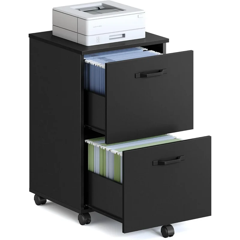 Gianna 2 Drawer File Cabinet,Rolling File Cabinet with Lockable Wheels,Printer Stand with Storage,for Home Office