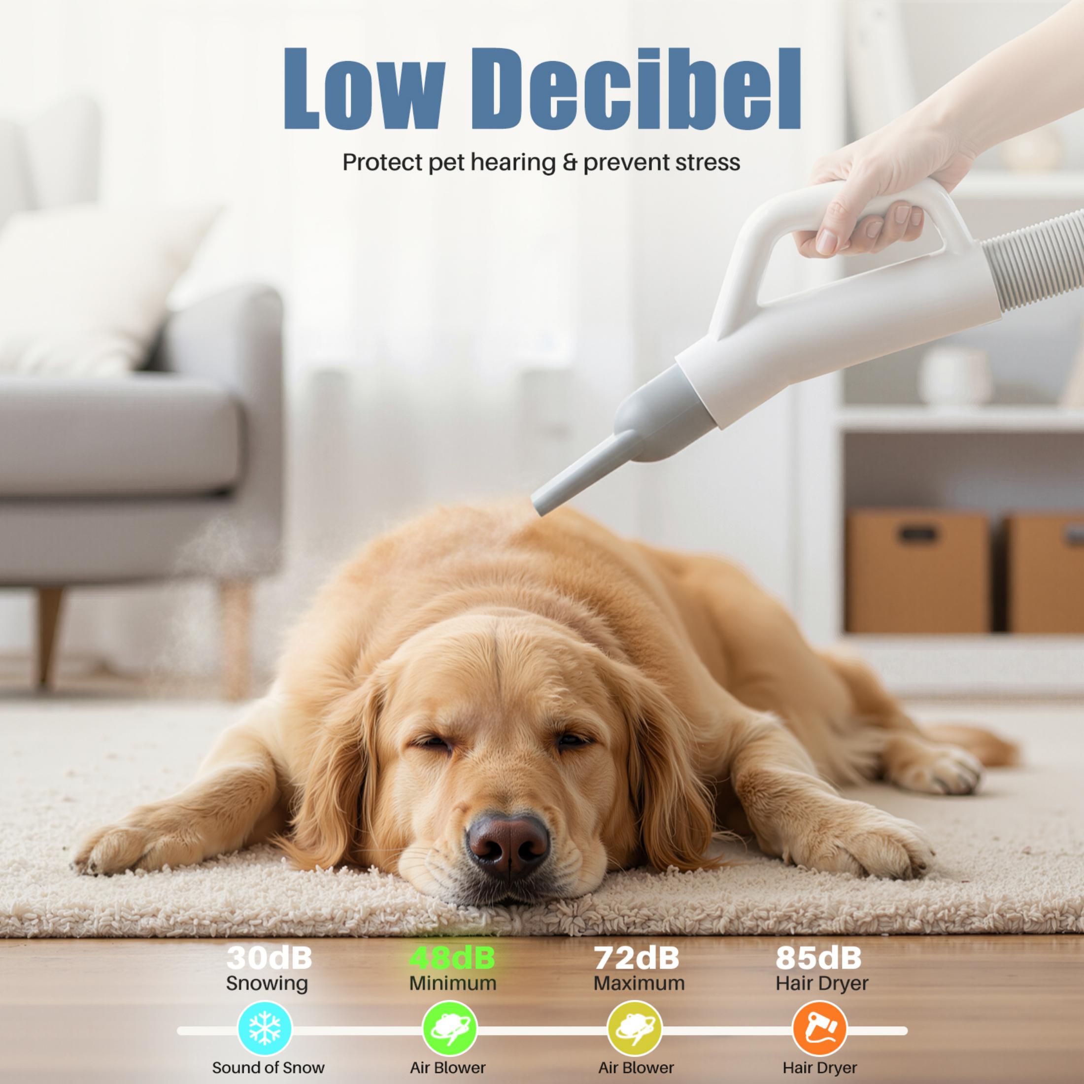 EDX Dog Blower Pet Hair Dryer with Adjustable Wind Speed & Heater Temperature, High Velocity Large Dog Hair Grooming Blower, 4 Nozzles, 6.5ft Cord for Dog Hair Force Blower