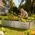 EDX Mini Greenhouse with 2 Zipper Doors & Water Resistant UV Protected ,for Flowers, vegetables and herbs ,Transparent