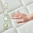 EDX 12 Inch Mattress with Individually Pocketed Springs, Memory Foam Hybrid Mattress in a Box for Isolate Motion, CertiPUR-US Certified