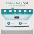EDX 9 Pint Small Dehumidifier, Silent Mini Dehumidifier, Portable Dehumidifier,for Bathroom, Room, RV House, White