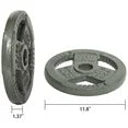 EDX Olympic Cast Iron Barbell Weight Plate, 45 lb, 2-Inch Center Hole