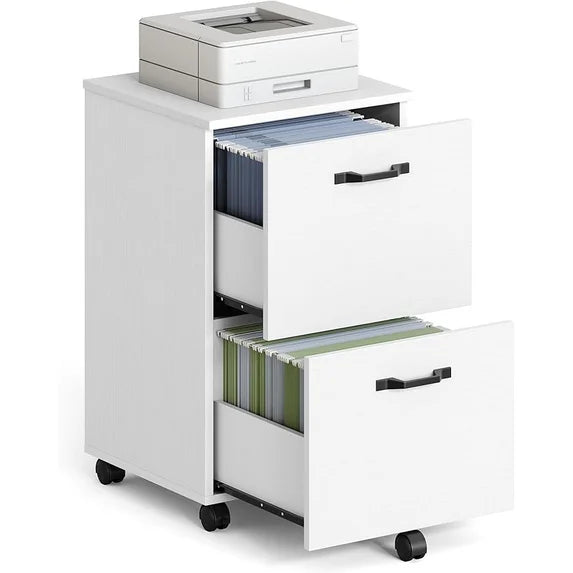 EDX 2 Drawer File Cabinet,Rolling File Cabinet with Lockable Wheels,Printer Stand with Storage,for Home Office