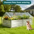 EDX Mini Greenhouse with 2 Zipper Doors & Water Resistant UV Protected ,for Flowers, vegetables and herbs ,Transparent