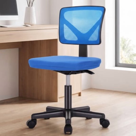 edx Home Office Desk Chair, Armless Mesh Computer Chair for Small Space, Swivel Adjustable Low Back for Teens/Adults
