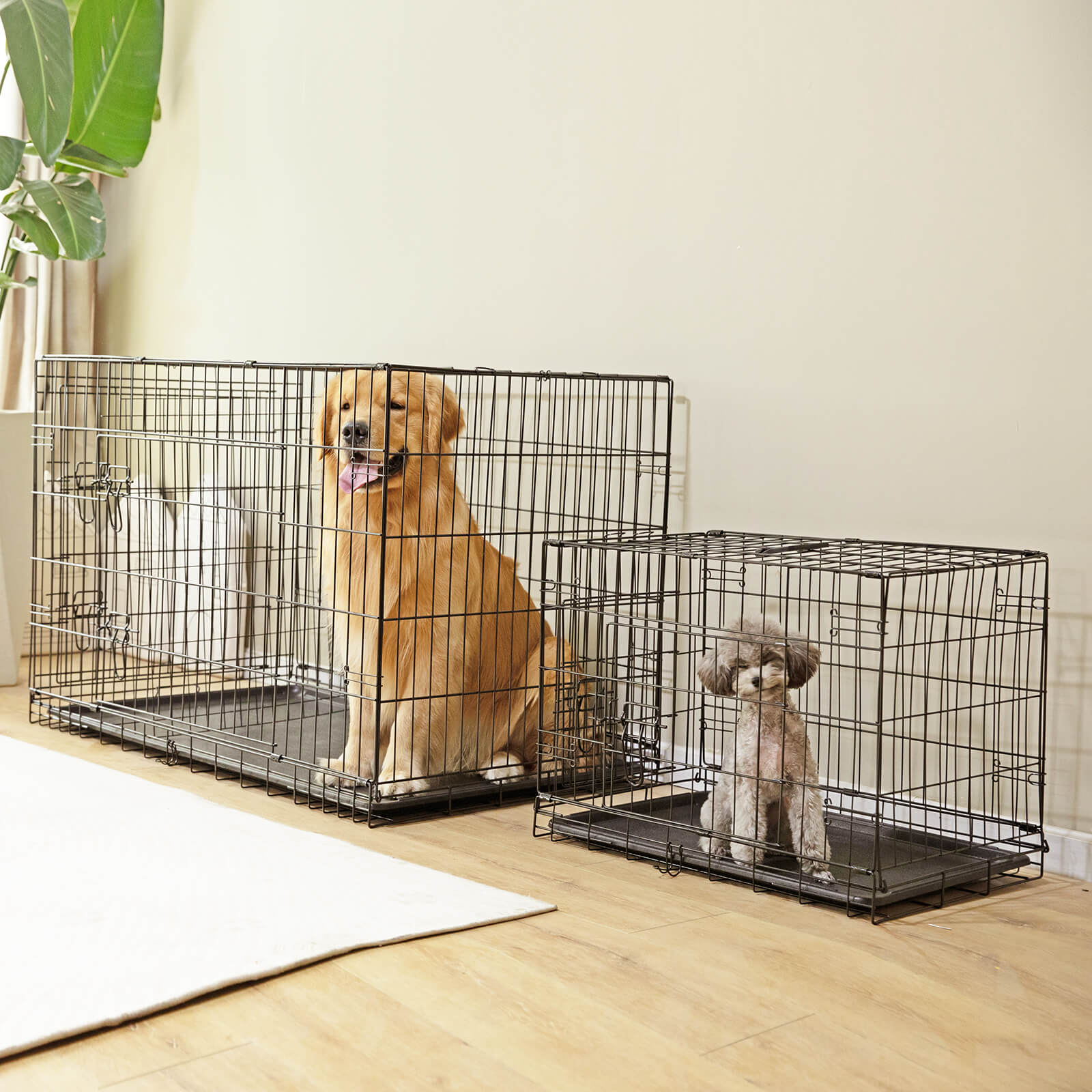 Mayoume Dog Crate-24/30/36/42/48 inch, Double Door Dog Cage with Divider Panel and Plastic Leak-Proof Pan Tray, foldable, easy to carry, suitable for indoor, outdoor, travel use