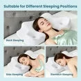 EDX 24 x 16 inch Cervical Ergonomic Pillow - Memory Foam Neck Pain Relief for Side/Back/Stomach Sleepers