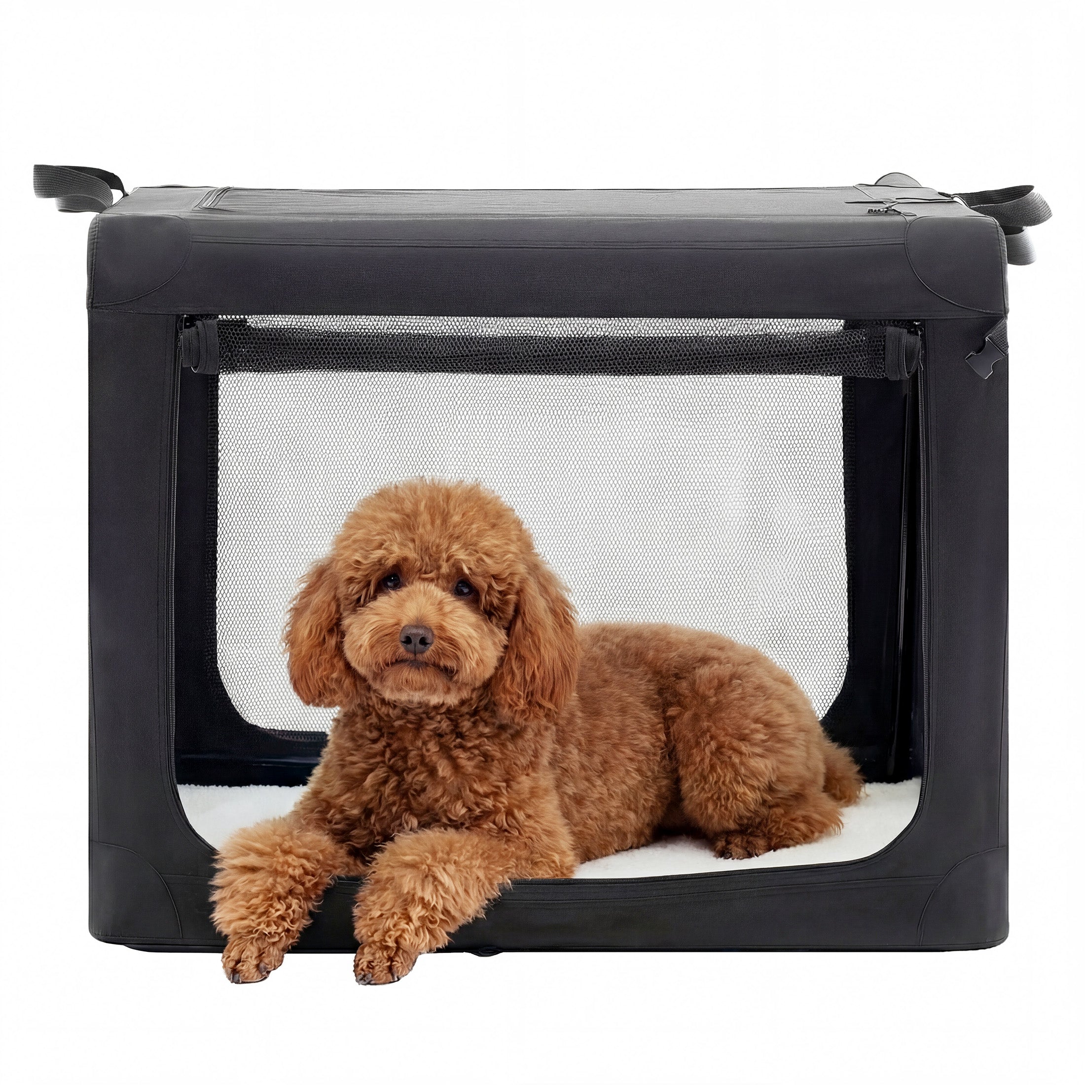 edx Portable Foldable Dog Crate for Small Dog, 3-Door Soft Pet Airline Approved Crate with Storage Bag & Washable Pad, For Indoor Outdoor Dog/Cat/Pet Kennel Carrier