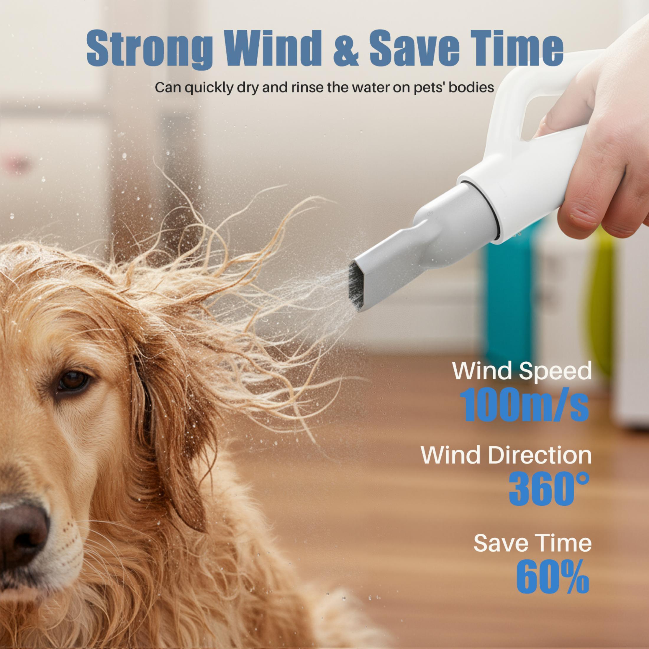 EDX Dog Blower Pet Hair Dryer with Adjustable Wind Speed & Heater Temperature, High Velocity Large Dog Hair Grooming Blower, 4 Nozzles, 6.5ft Cord for Dog Hair Force Blower