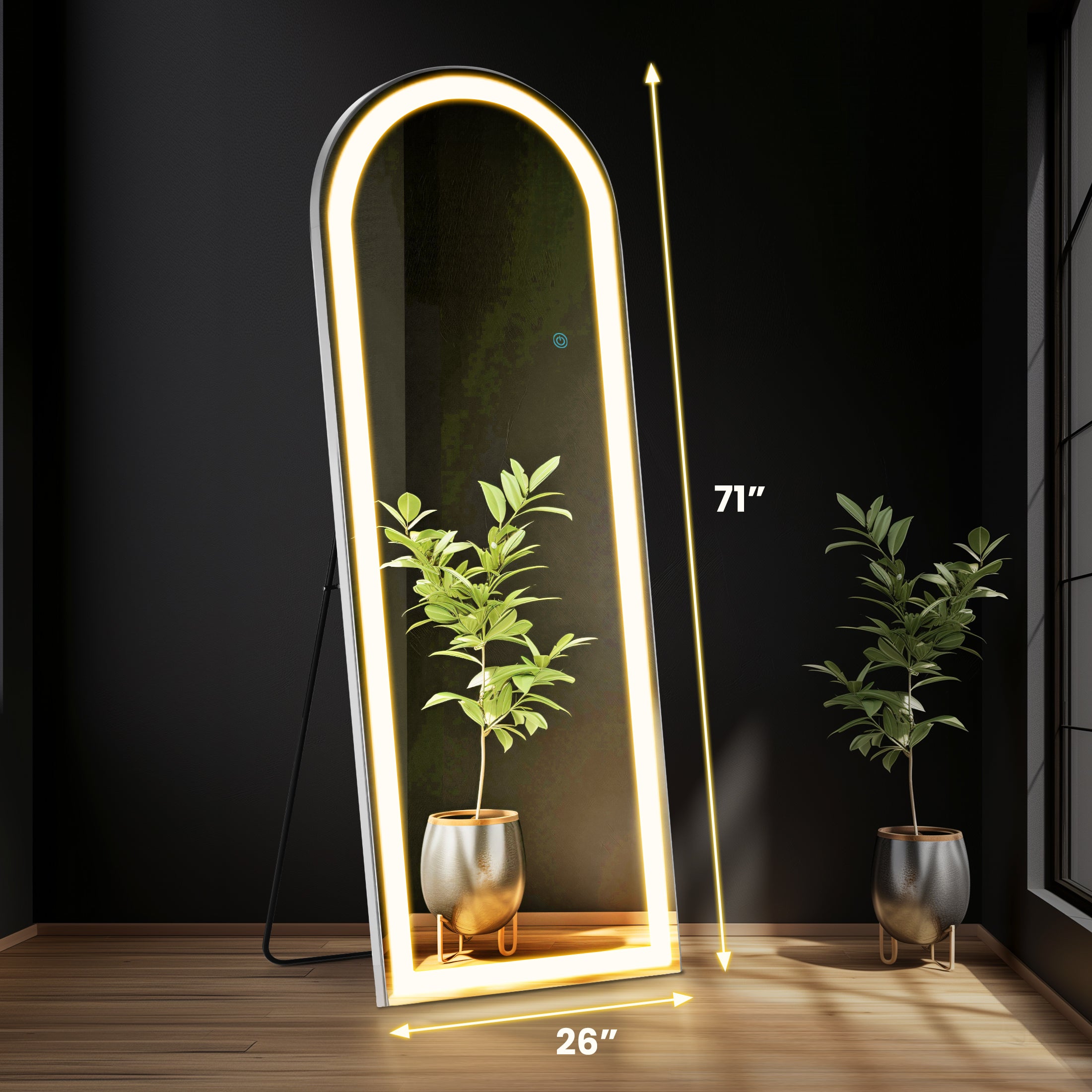 3 Color Lighting Mirror with LED Lights, 71"x26" Lighted Floor Standing Mirror with Stand, Wall Mounted Hanging