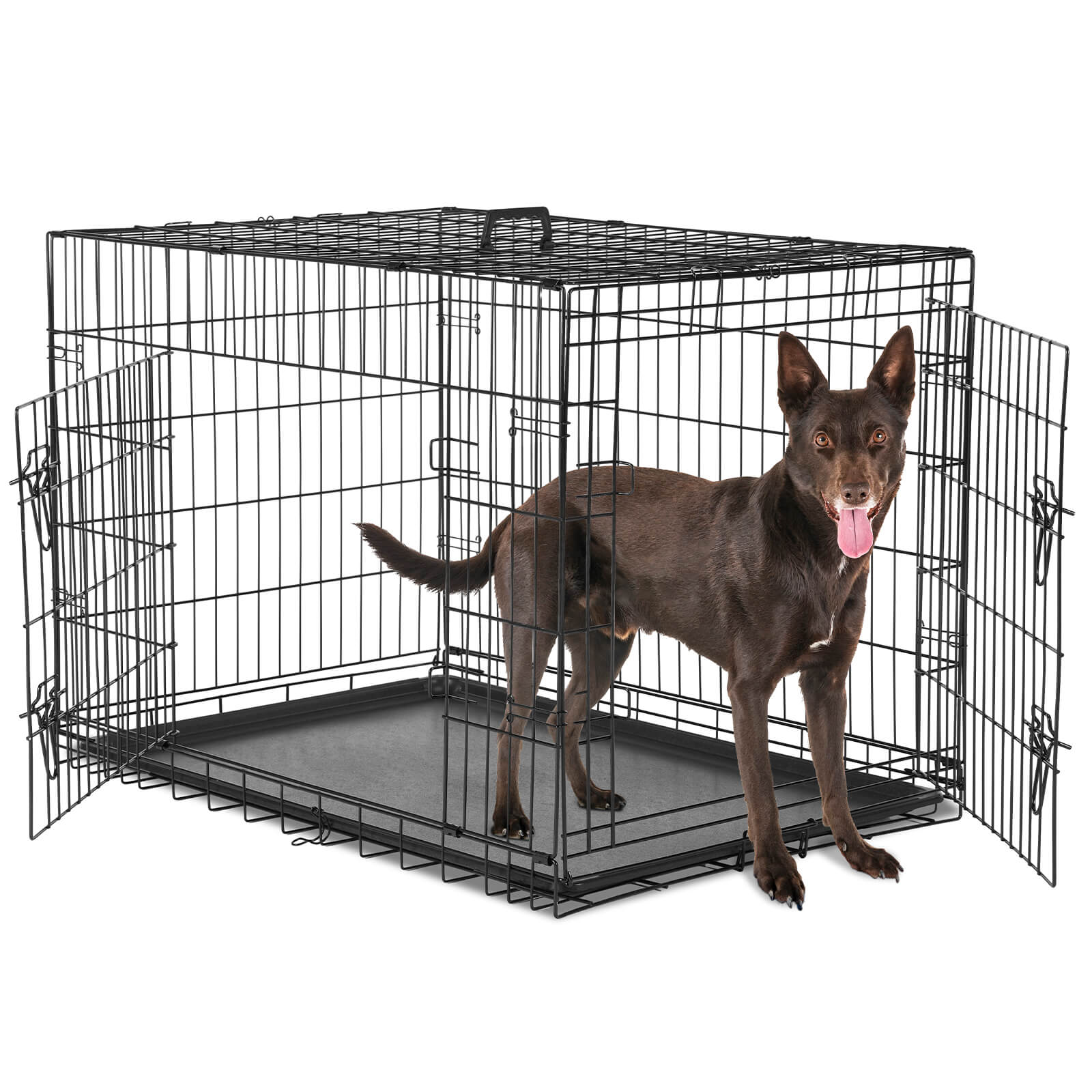 Mayoume Dog Crate-24/30/36/42/48 inch, Double Door Dog Cage with Divider Panel and Plastic Leak-Proof Pan Tray, foldable, easy to carry, suitable for indoor, outdoor, travel use