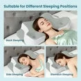 EDX 24 x 16 inch Cervical Ergonomic Pillow - Memory Foam Neck Pain Relief for Side/Back/Stomach Sleepers