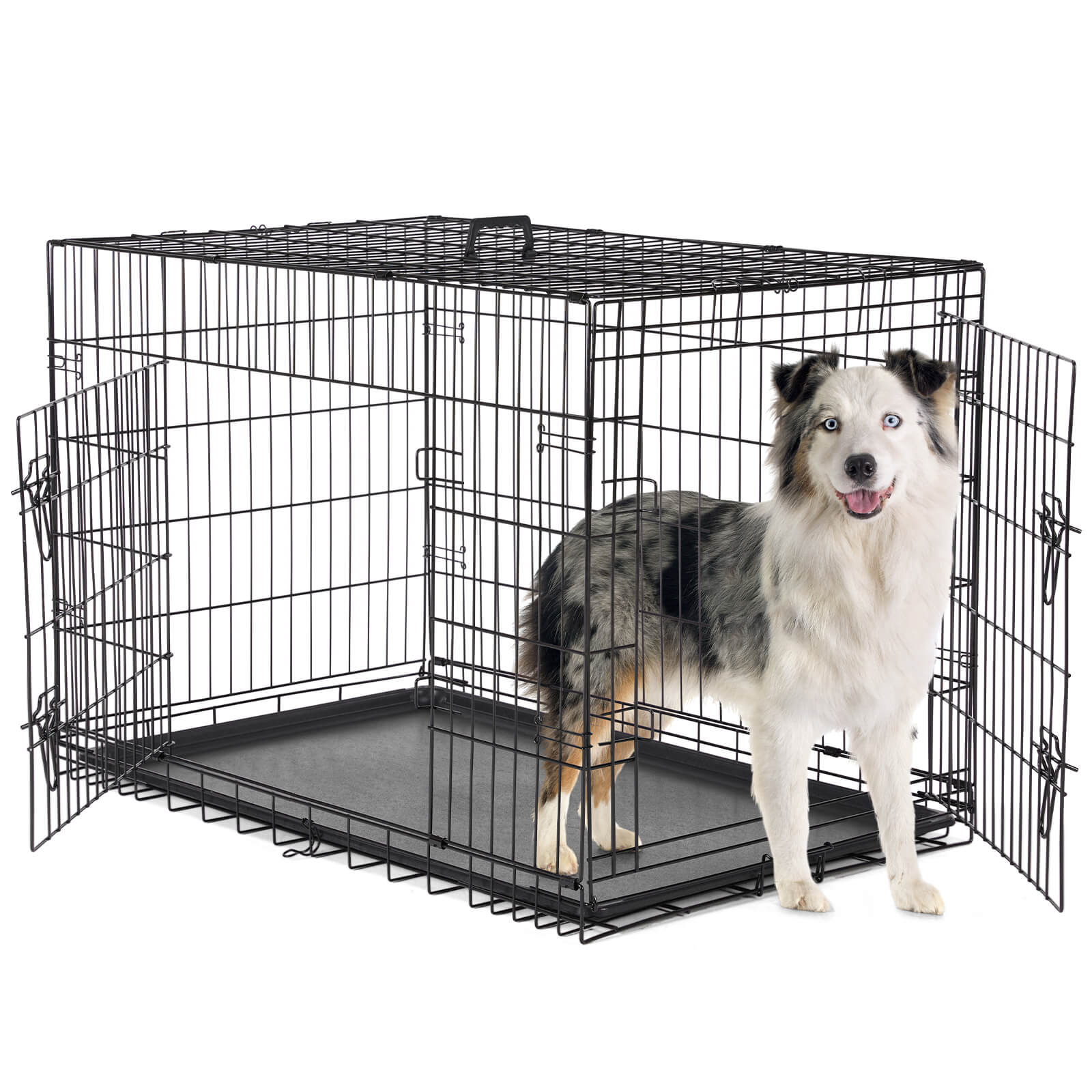 Mayoume Dog Crate-24/30/36/42/48 inch, Double Door Dog Cage with Divider Panel and Plastic Leak-Proof Pan Tray, foldable, easy to carry, suitable for indoor, outdoor, travel use