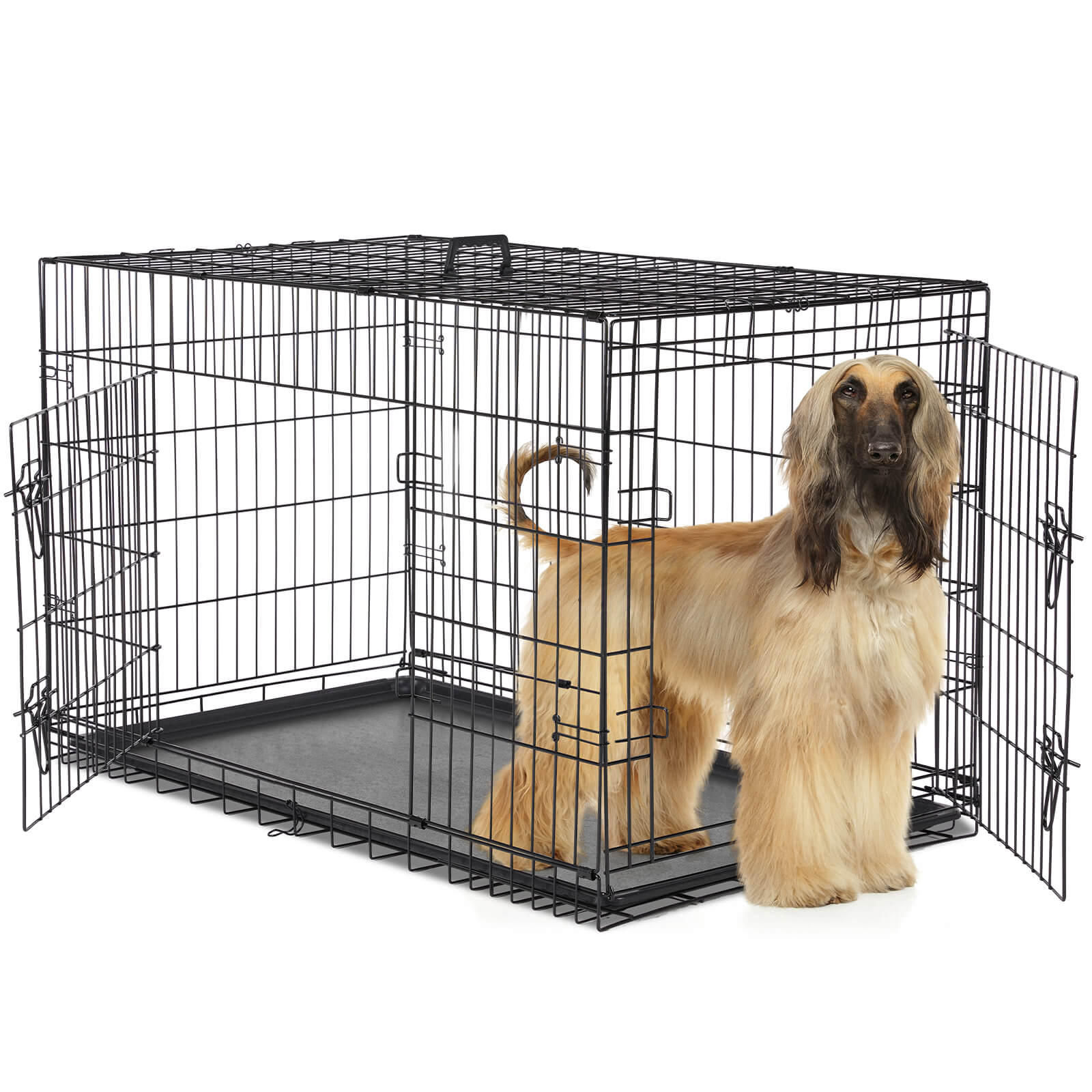 Mayoume Dog Crate-24/30/36/42/48 inch, Double Door Dog Cage with Divider Panel and Plastic Leak-Proof Pan Tray, foldable, easy to carry, suitable for indoor, outdoor, travel use