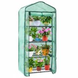 edx Mini Greenhouse for Outside & Indoor Use, Portable Green House,  Multi-Tier Plant Growing Rack with PE Cover, Green